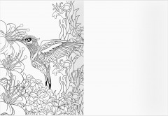 Раскраска-антистресс. Райские птицы - Фото 4