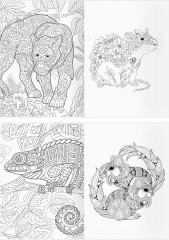 Раскраска-антистресс. Удивительные животные - Фото 4