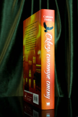 Сквозь огненную стену - Фото 7