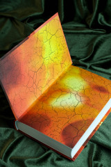 Сквозь огненную стену - Фото 8