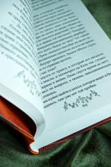 Сквозь огненную стену - Фото 9