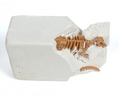 Набор игровой «Раскопки» - Фото 3