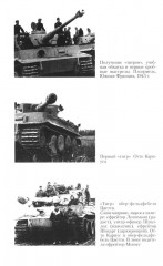 Тигры в грязи. Воспоминания немецкого танкиста. 1941-1944 - Фото 14