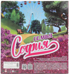 Набор кукол «София с семьёй» - Фото 5