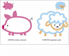 Раскраски с цветным контуром «Котёнок, Львёнок». Комплект из 2 книг - Фото 4