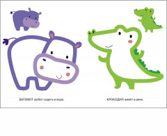 Раскраски с цветным контуром «Котёнок, Львёнок». Комплект из 2 книг - Фото 8