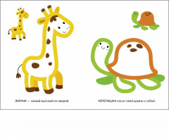 Раскраски с цветным контуром «Котёнок, Львёнок». Комплект из 2 книг - Фото 9