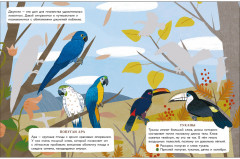 Джунгли. Мир животных. Наклейки - Фото 1