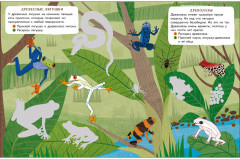 Джунгли. Мир животных. Наклейки - Фото 3