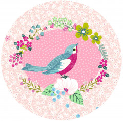 Музыкальная шкатулка «Зяблик» - Фото 5