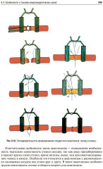 Оперативная хирургия - Фото 17