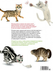 Невероятные коты. Всё, что нужно знать о любимых питомцах - Фото 4