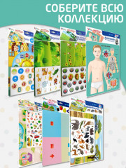 Игра магнитная «Анатомия» - Фото 7