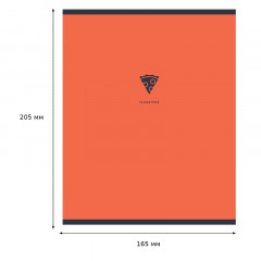 Тетрадь предметная «Геометрия» - Фото 2