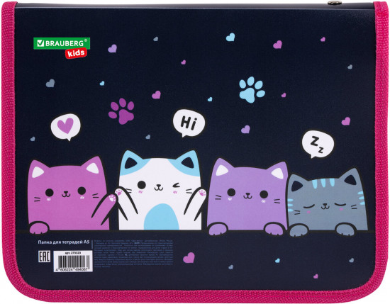 Папка для тетрадей