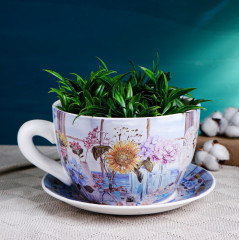 Горшок для цветов в виде чашки «Блум» - Фото 3