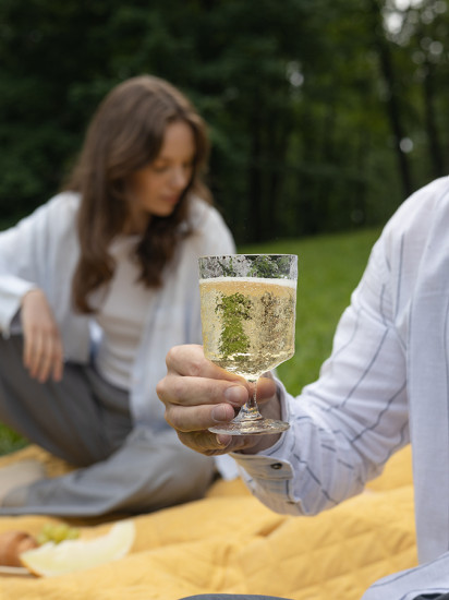 Набор бокалов для вина «Arctic»