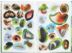 Аппликации с наклейками «Кто где живёт» - Фото 2