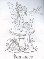Раскраска «Чудесные феи» - Фото 3