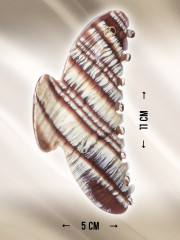 Крабик для волос «Черепаха» - Фото 1