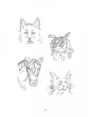 Легенда о Лукасе - Фото 3