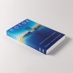 Поток. Психология оптимального переживания - Фото 3