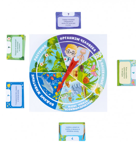 Игра-викторина настольная «Окружающий мир»