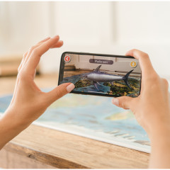 Карта мира для детей интерактивная с ламинацией «Животный и растительный мир Земли» - Фото 4