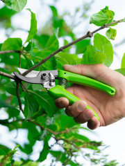 Секатор прямого реза - Фото 6