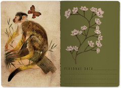 Тетрадь общая «Джунгли» - Фото 3