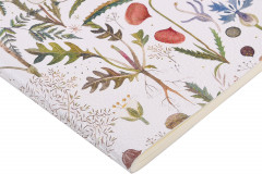 Тетрадь общая «Луговые травы» - Фото 1