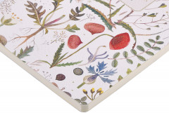 Тетрадь общая «Луговые травы» - Фото 2