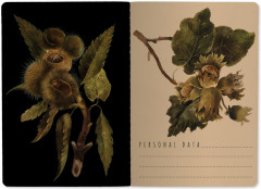 Тетрадь общая «Орехи» - Фото 1