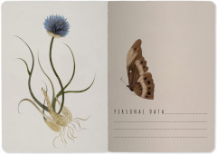 Тетрадь общая «Symmetrical flora» - Фото 5