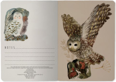 Тетрадь общая «Волшебные совы» - Фото 2