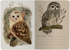 Тетрадь общая «Волшебные совы» - Фото 5