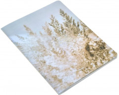 Тетрадь общая - Фото 2