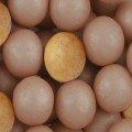 №29 золотисто-бежевый