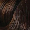 5.3 Светло-каштановай золотистый