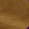 7/3 Лесной орех
