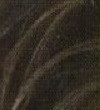 03 Dark Brown