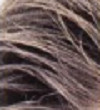 06 Light Brown