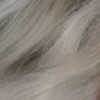 11.0 Arctic Blond