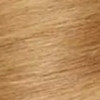 9.3 светло-золотистый блонд