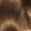 9.3 light golden blonde/светлый золотистый блонд