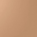 13 Nouveau Beige