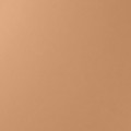 14 Golden Beige