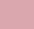 81 Soft Fuchsia