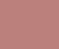 22 Nude Antique Pink