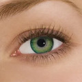 Sea Green